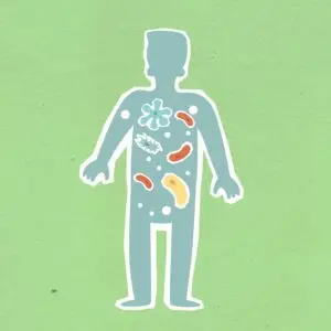 From above of cutout cardboard illustration of person with different bacteria spreading in body on green background