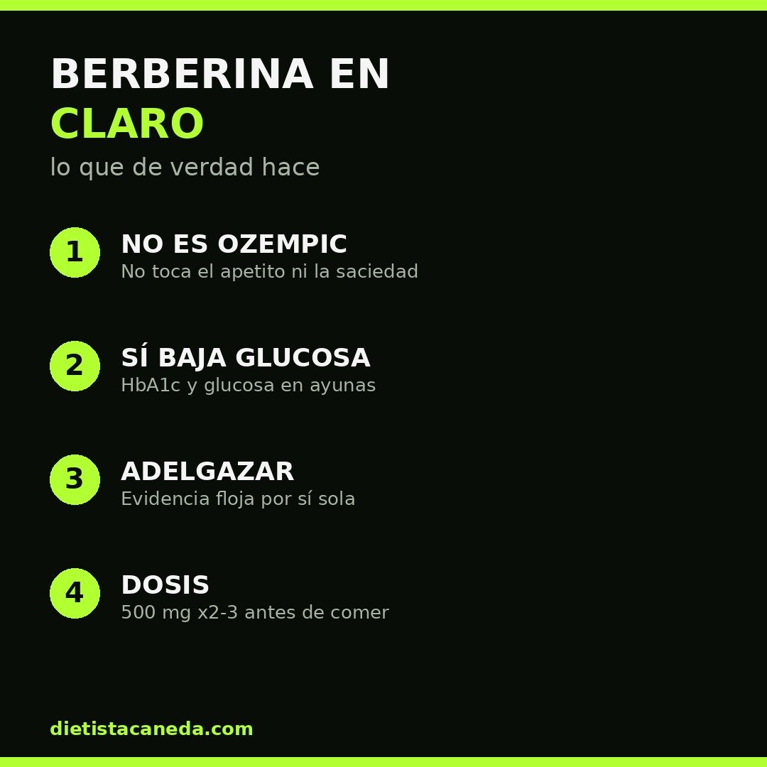 BERBERINA EN CLARO
