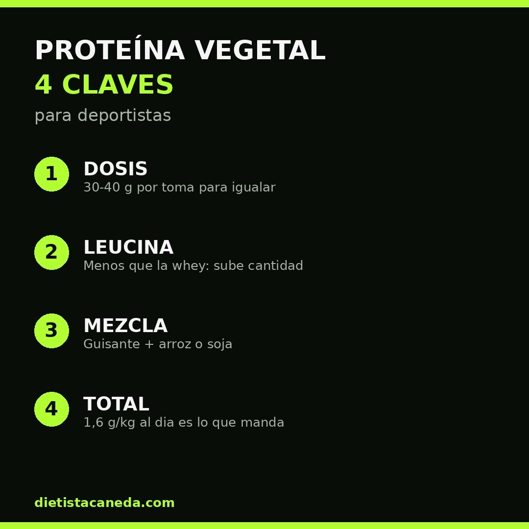 PROTEÍNA VEGETAL CLAVES