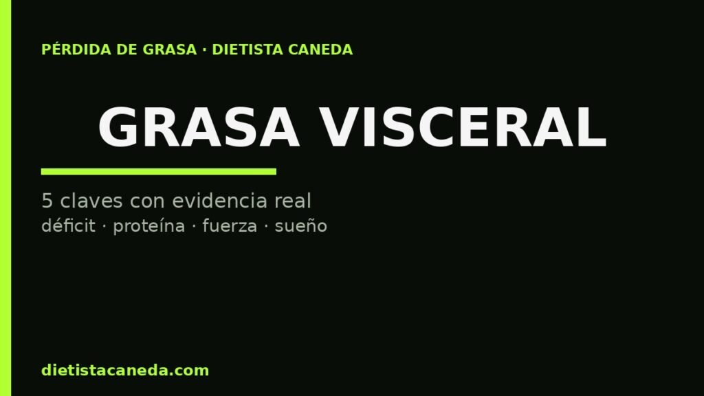 GRASA VISCERAL - imagen destacada