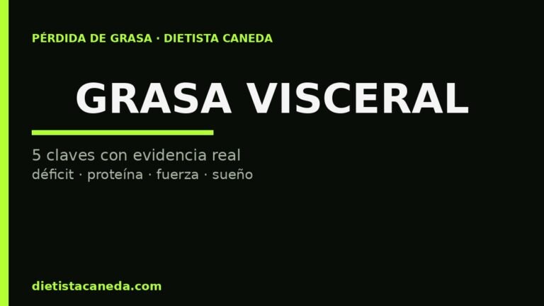 GRASA VISCERAL - imagen destacada
