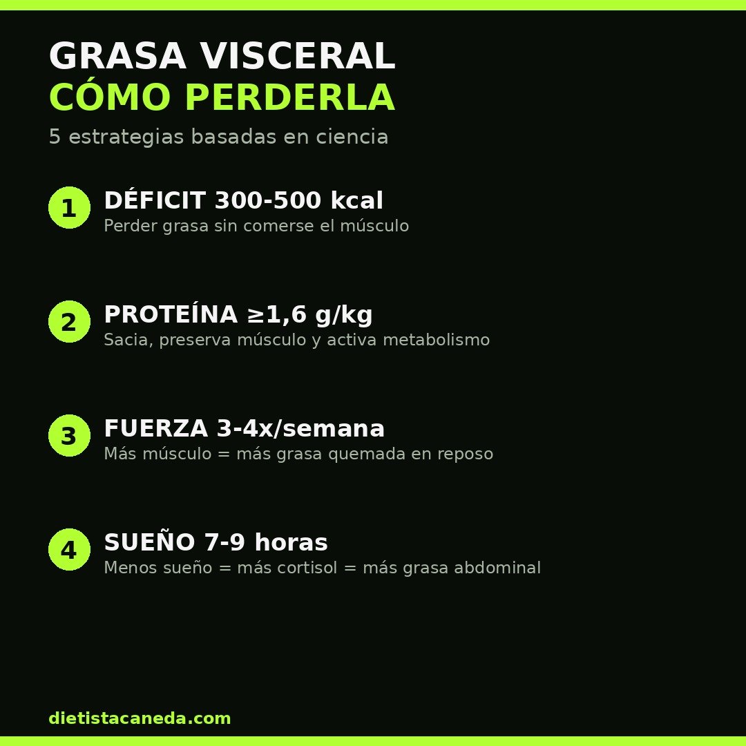 GRASA VISCERAL CÓMO PERDERLA