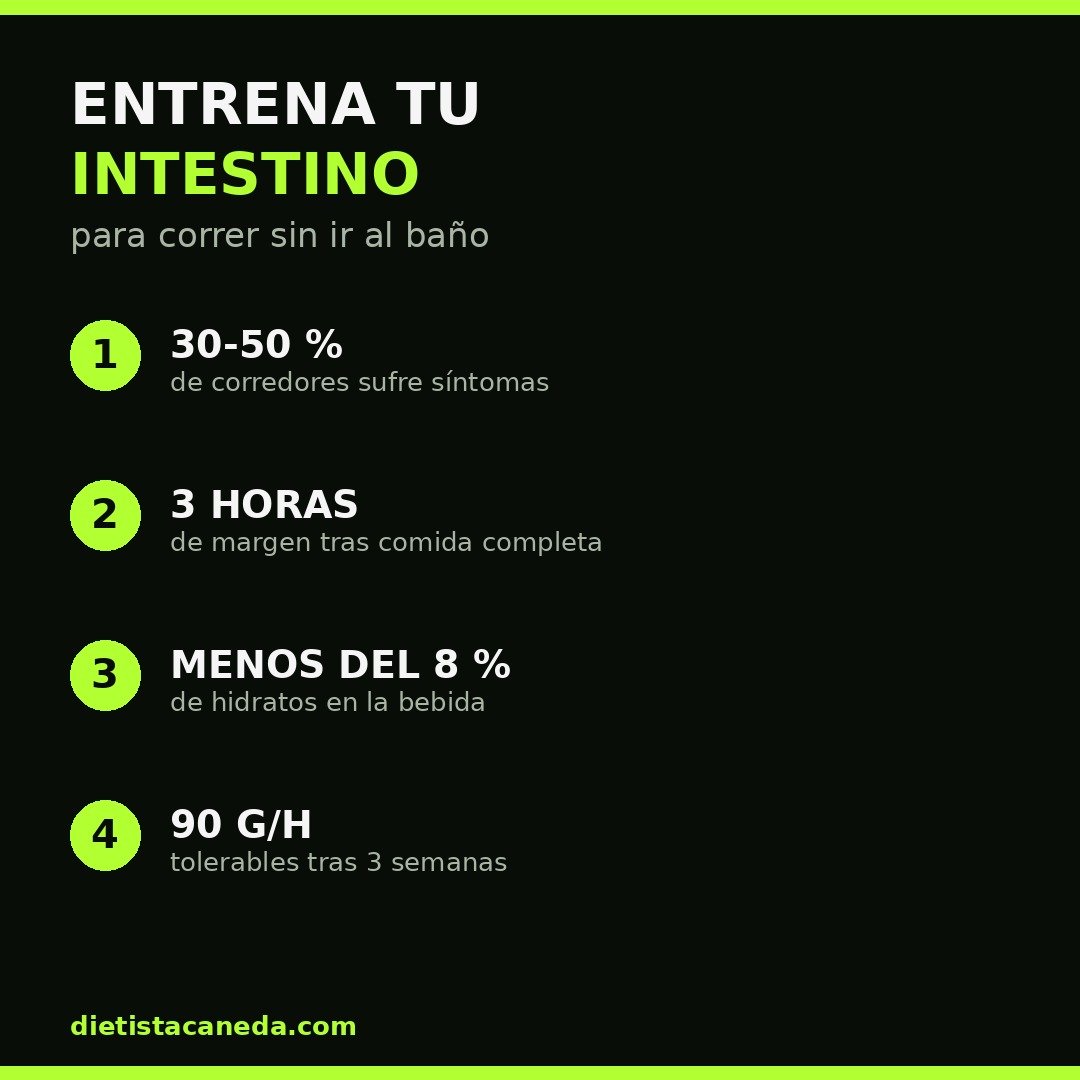 ENTRENA TU INTESTINO