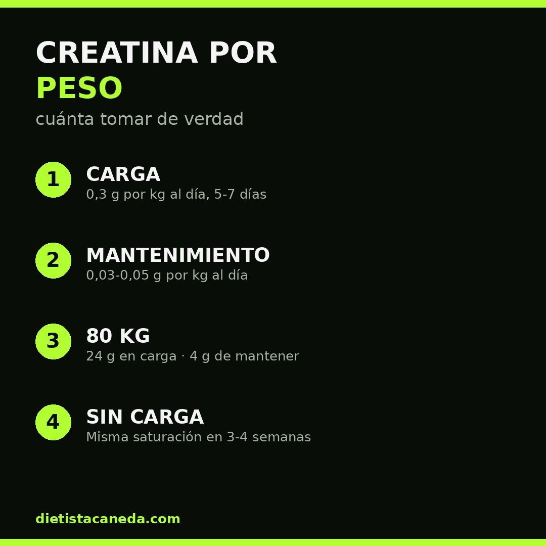 Dosis de creatina segun peso corporal - infografia