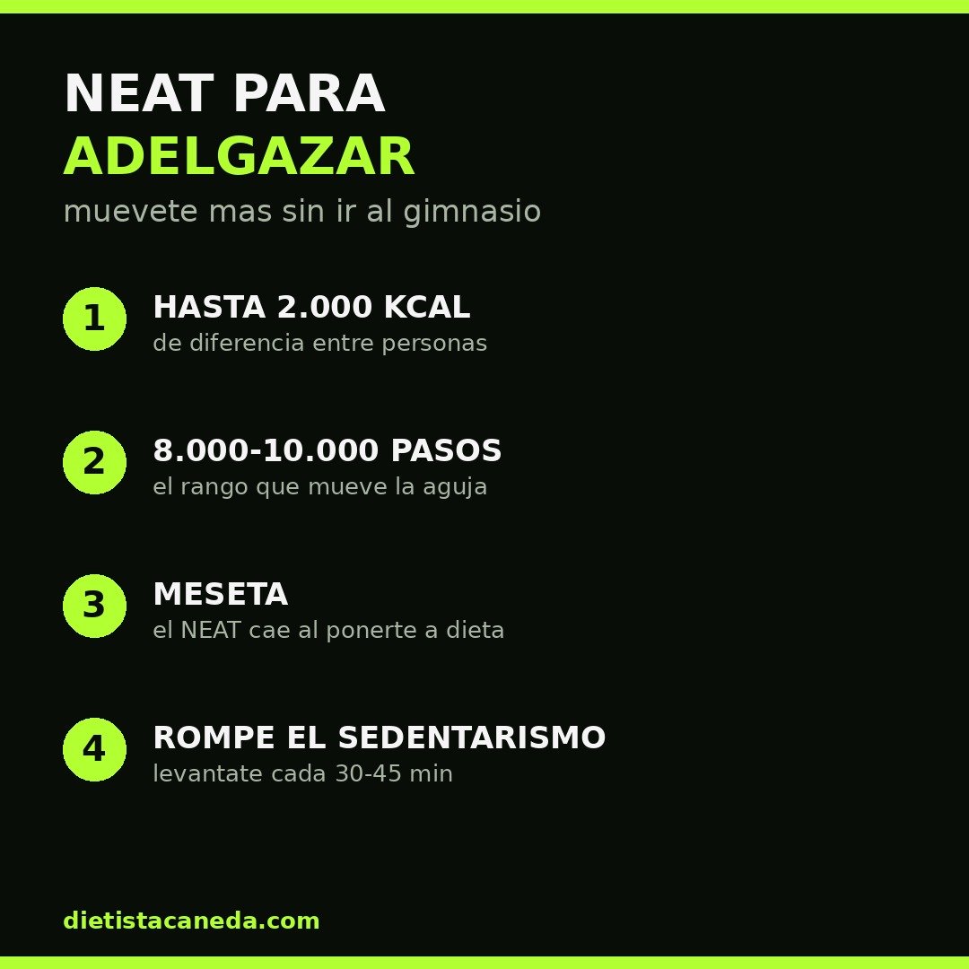 NEAT PARA ADELGAZAR