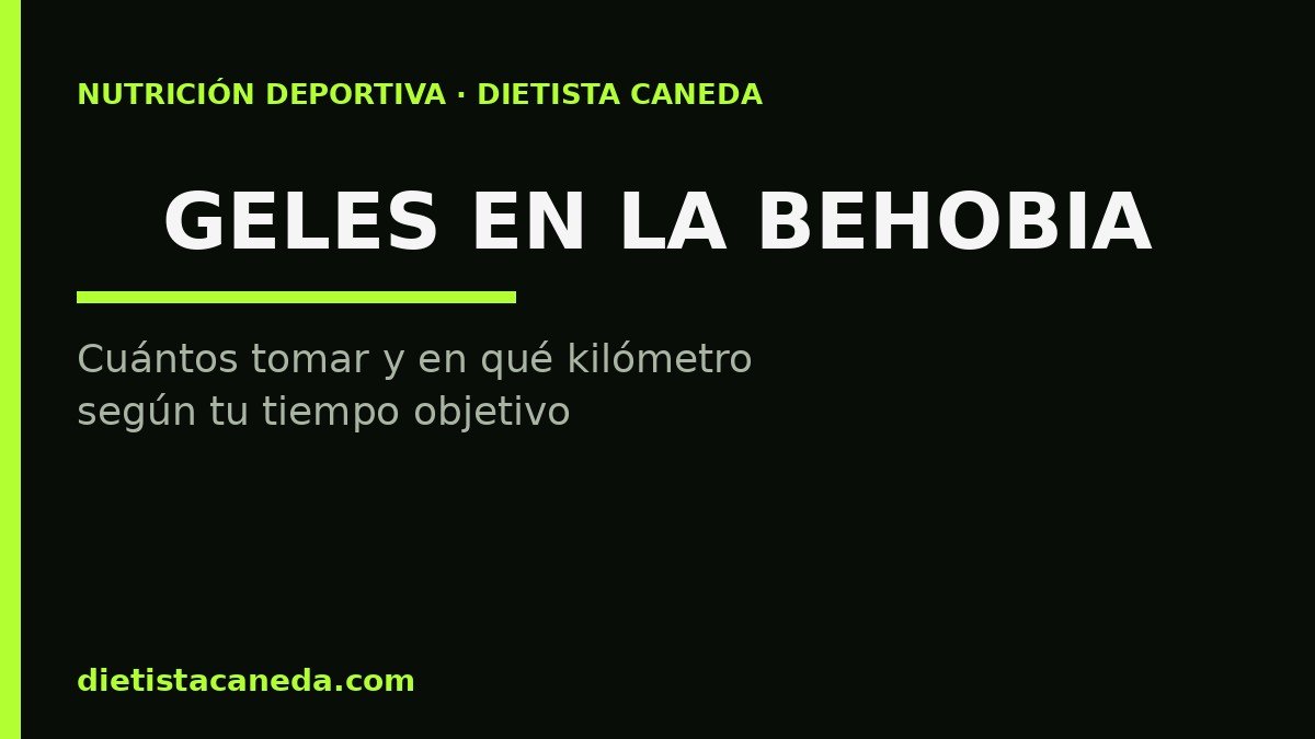 Geles en la behobia: resumen del artículo